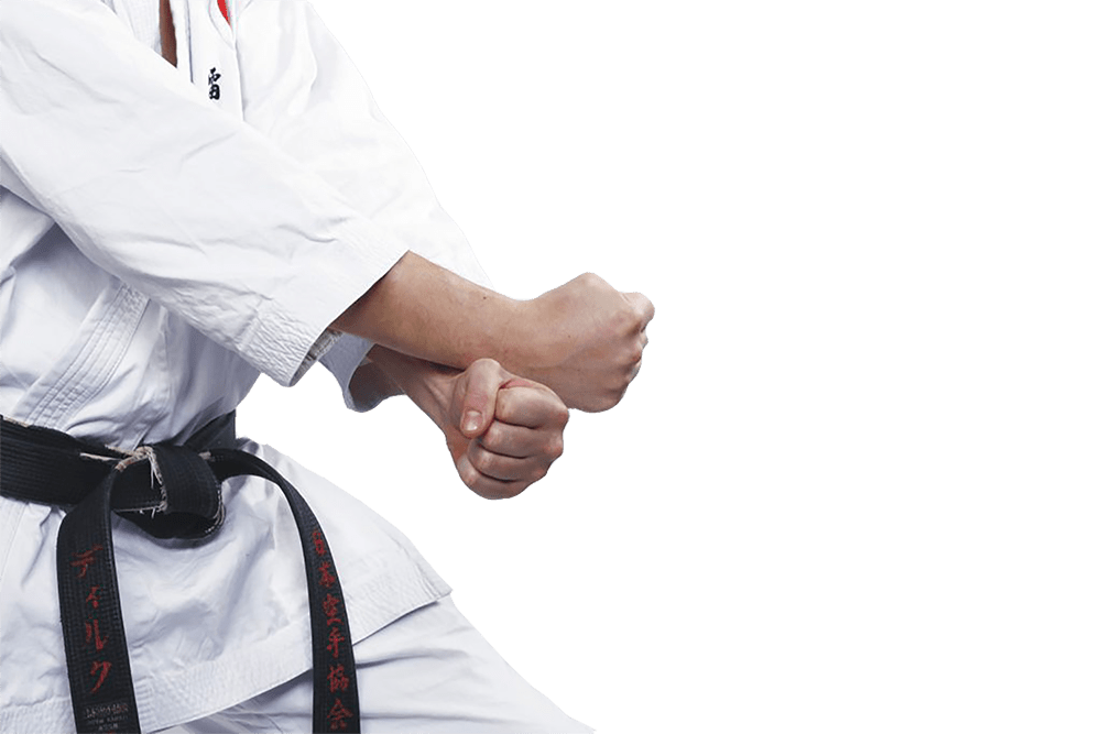 Karateka in Kampfstellung